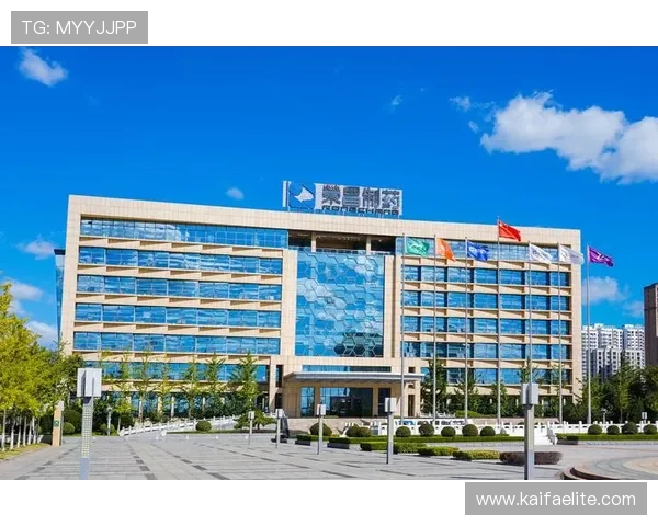 凯发有限公司官网支付方式多样化确保资金安全与便捷操作